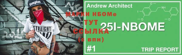 молекула духа Богородицк