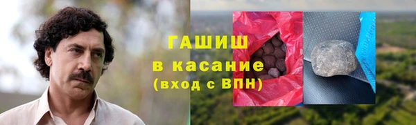 молекула духа Богородицк