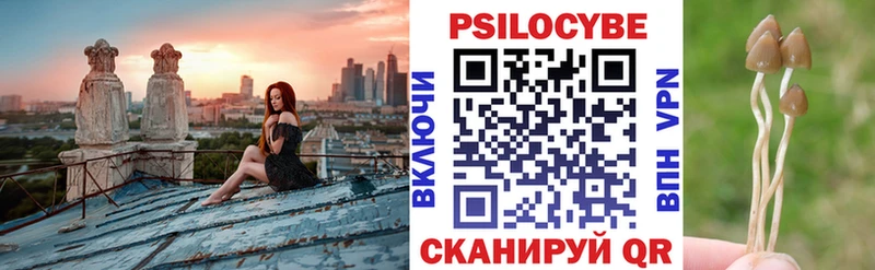 Галлюциногенные грибы прущие грибы  как найти закладки  Будённовск 
